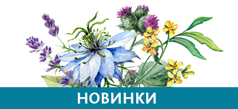 Новинки